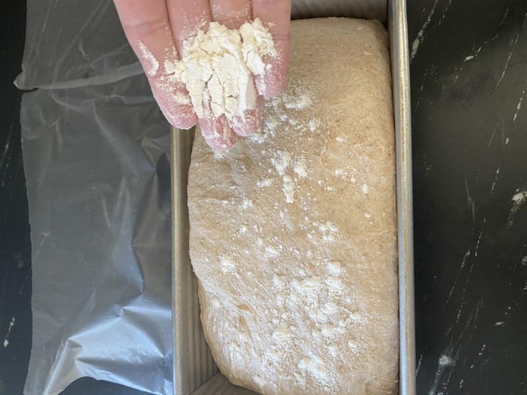 Flouring the top of the bread dough before we make a slash in the top.