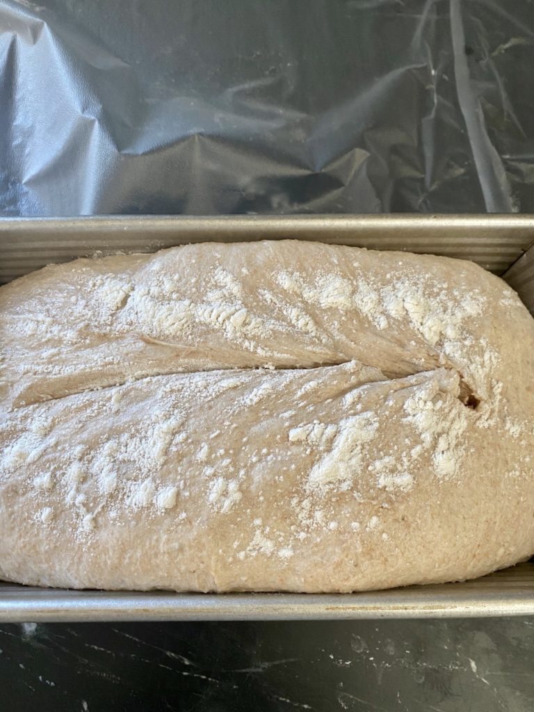 The slash on the top of my loaf. It's not perfect, but doesn't need to be!