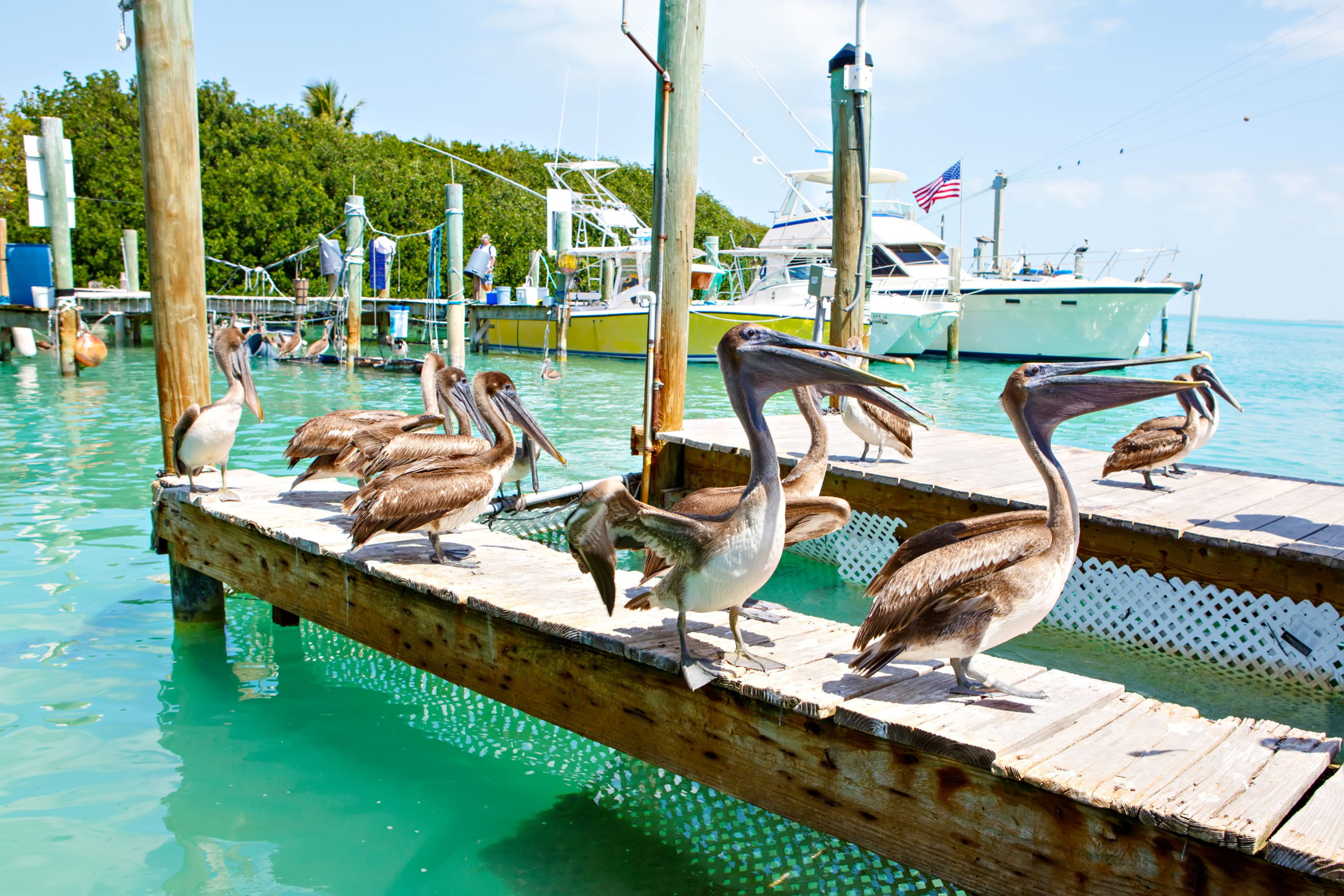 best florida keys to visit with family