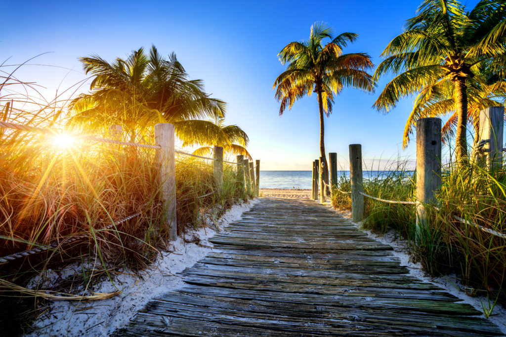 day trips from largo florida
