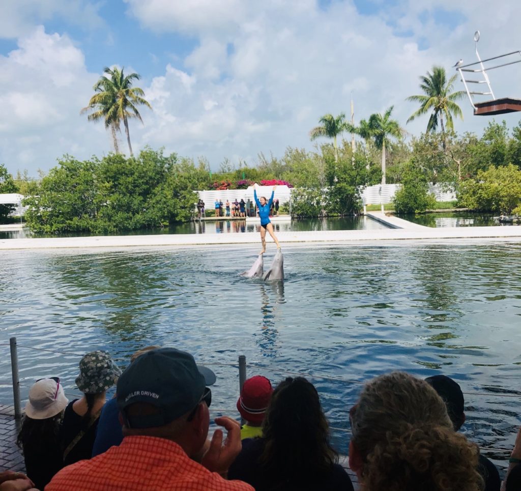 The Interactive Dolphin Program at the Theater of the Sea.
(Family Friendly Guide to the {northernmost} Florida Keys)