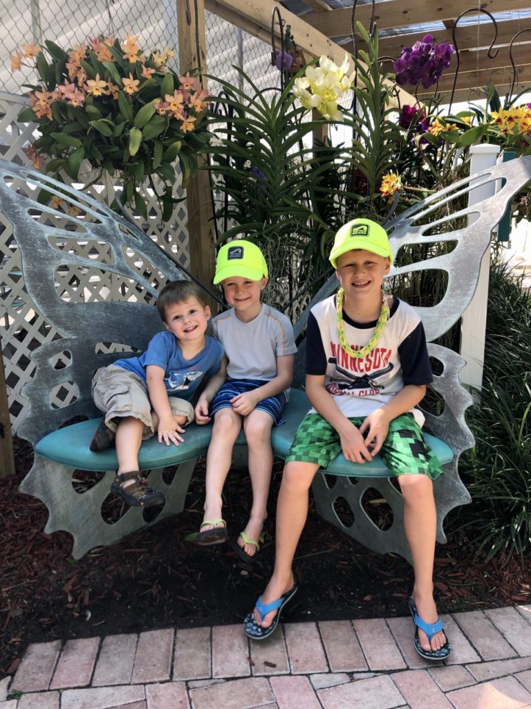 The Theater of the Seas boasts lush tropical gardens and plants all over the grounds!
(Family Friendly Guide to the {northernmost} Florida Keys)