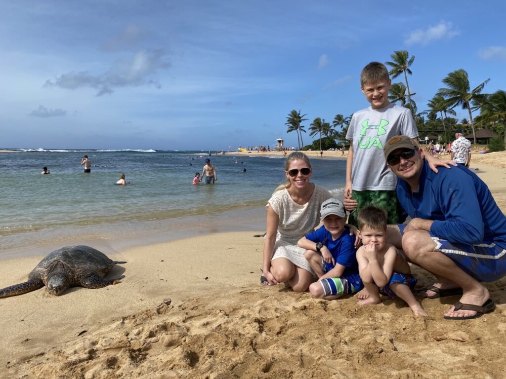 Hawaiian Green Sea Turtles are often found sunning themselves upon the golden sand of Poipu Beach - Best of Kauai Experiences
