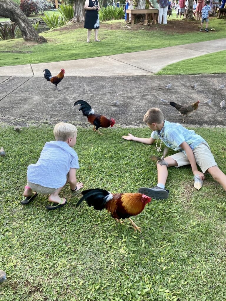 Our boys LOVED to feed the animals at the Smith Plantation Luau